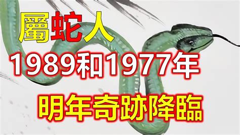 1989蛇男|生肖蛇: 性格，愛情，2024運勢，生肖1989，2001，2013